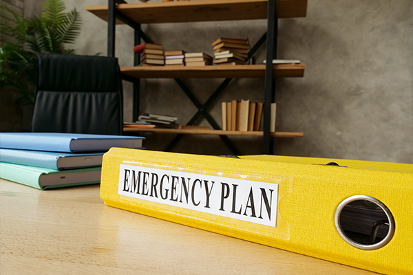 Emergency planning air charter services