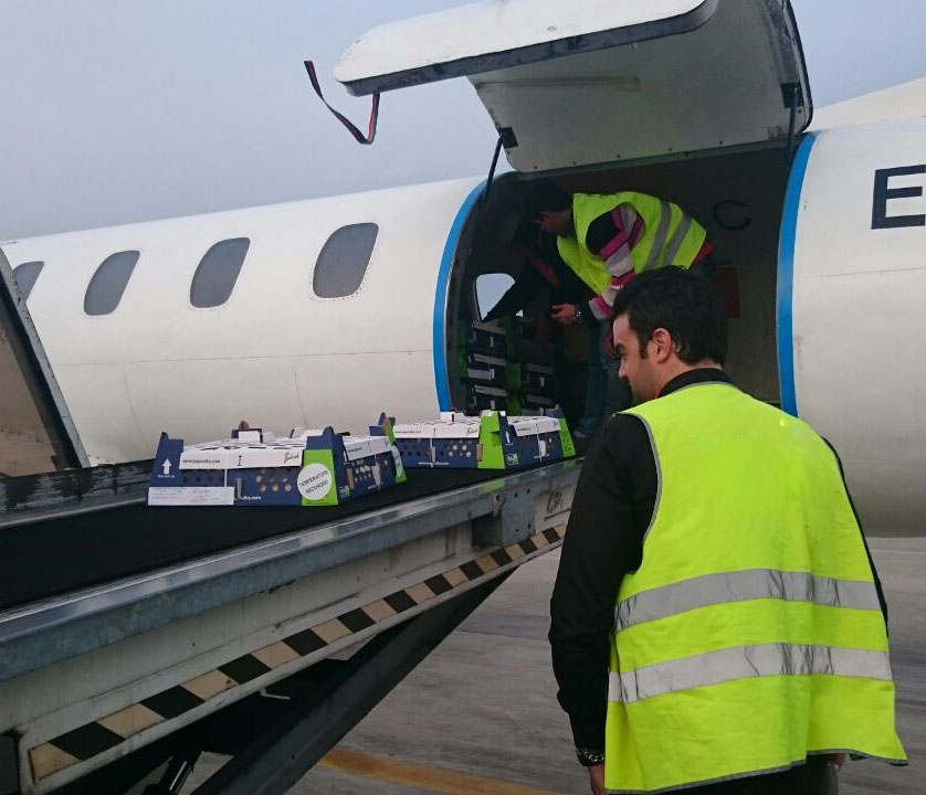 Metro III cargo aircraft loading with conveyor belt and crew