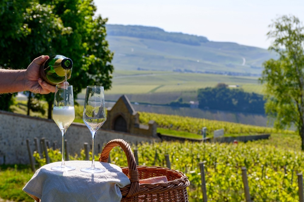 France Champagne region with person serving champagne