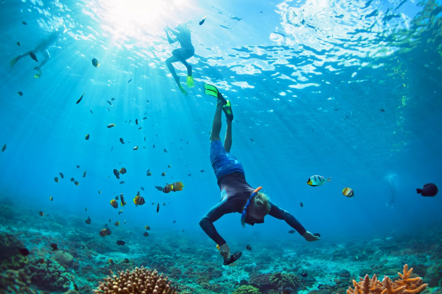 Snorkelling